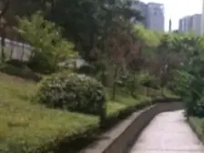 中医院边电梯大三房住家安静出行方便