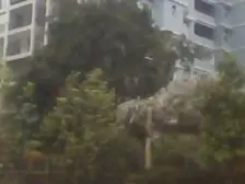 此房是顶跃带屋顶大花园,户型方正,出行方便,配套齐