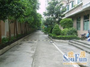 电梯、户型方正使用率高、客厅出大阳台望花园