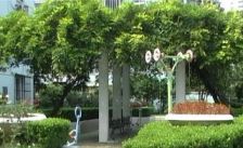 南北户型带租约中楼层采光佳