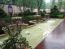 龙头寺公园房 一线公园景观 视野佳 装修好 入则自然