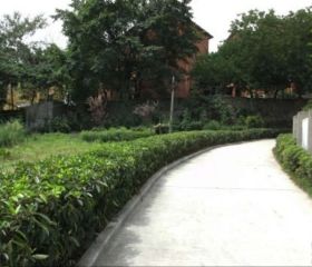 天域兰湾3室2厅南