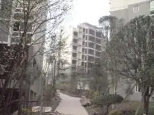 老城区 远林雅宇豪苑四房60.8万