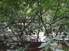 大坪 交通街二房39万