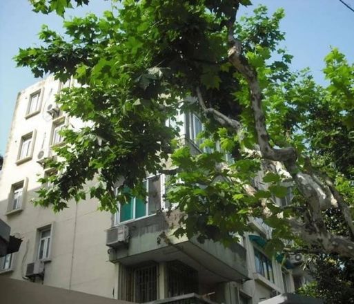 湖南路280弄老公寓实景图