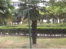 近地铁 产权清晰,精装 无抵押 新上房源