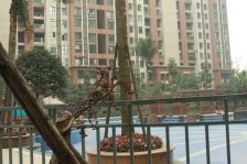 华润二十四城一期 2室1厅 西