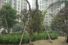 华润二十四城一期 3室1厅 南 北