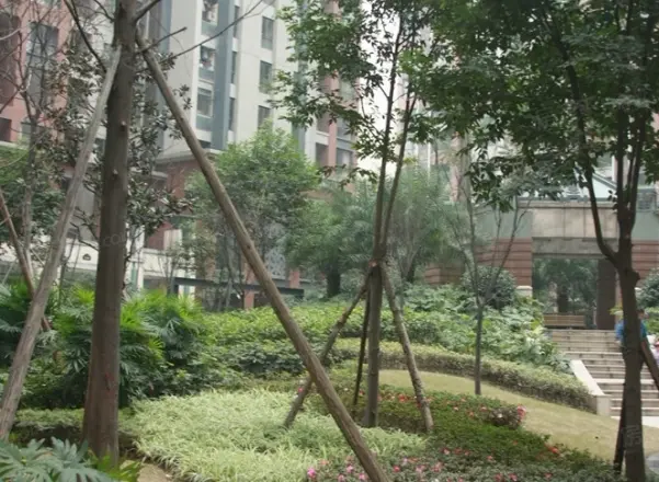 华润二十四城实景图