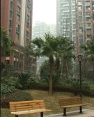 华润二十四城一期 2室1厅 东