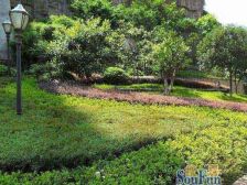 化龙桥 雍江艺庭二房153万