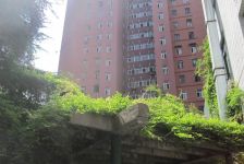 稷售!老业主委托,华山路,看3.8万方绿地公园,好房子