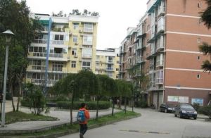 福兴花园 3室1厅 东南