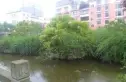 警苑小区实景图