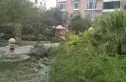 警苑小区实景图