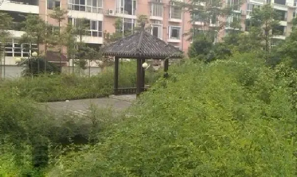 警苑小区实景图