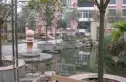 警苑小区实景图
