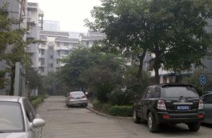 滨雅苑 3室2厅 南