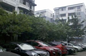 滨雅苑3室2厅南