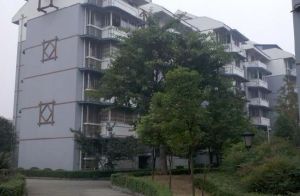 滨雅苑3室1厅南