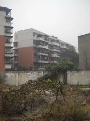 槐树店37号 2室1厅 南