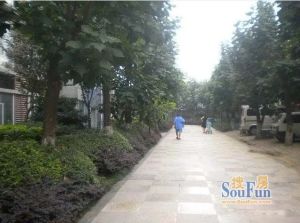 水岸雅居 4室1厅 南