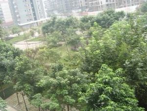 水岸雅居 3室1厅 西