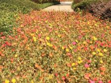 华新街轻轨站旁,精装,看中庭,住家安静。