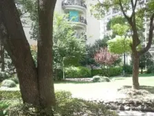 小区花园位置 业主诚意出售 品质小区