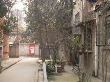 双桥路南一街2室1厅南