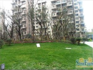 中大君悦金沙四期2室1厅西南