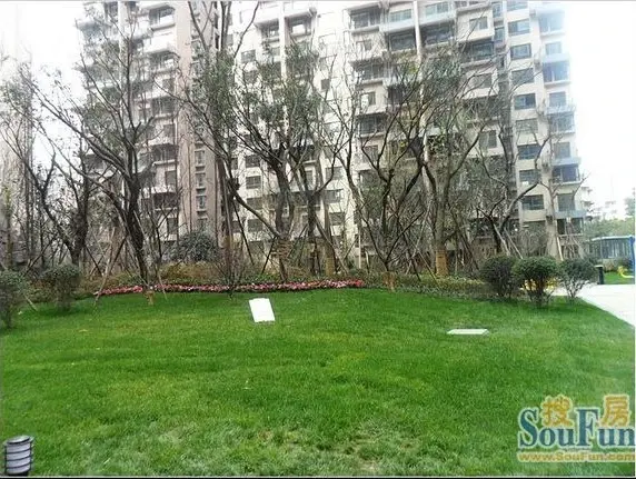 中大君悦金沙四期实景图