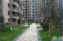 中大君悦金沙四期实景图