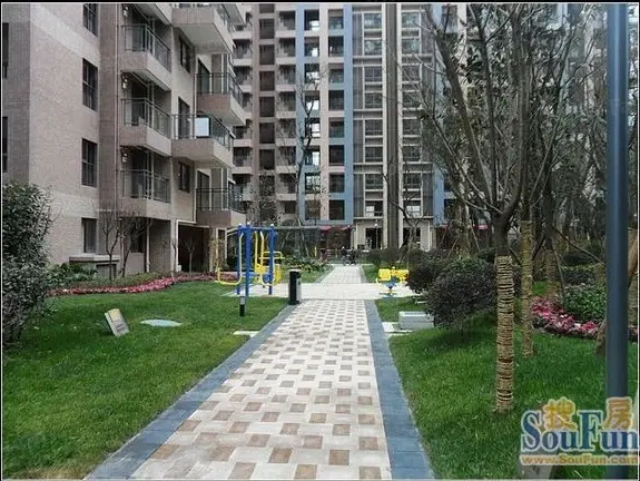 中大君悦金沙四期实景图