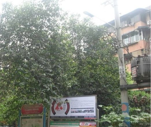 成华区财政局宿舍实景图