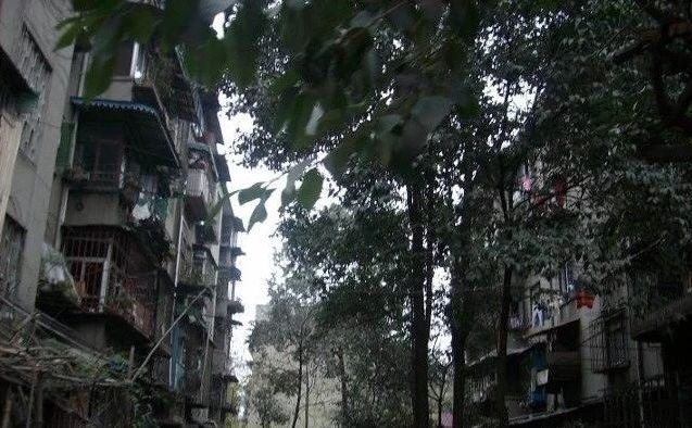 成华区财政局宿舍实景图