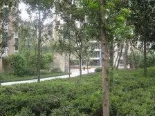 高新区 天鸿龙宇金座二房36.8万