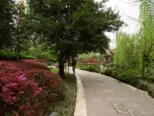 石桥铺电梯两室一厅拎包入住!