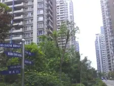 靠体育公园,安静 冉家坝 天邻风景2房