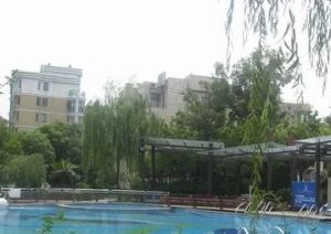 长三角先行示范区 一梯一户 飞机户型 南北通透