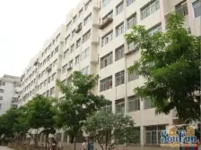 五泉广场 新华佳苑 楼层低 带装修 有小区 能停车