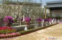 米兰东湖湾实景图
