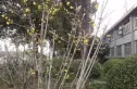 亚太大厦商住两用房实景图