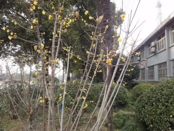 亚太大厦商住两用房实景图