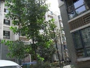 华林西苑 1室1厅 东南