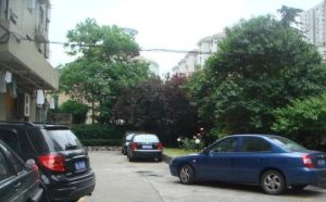 肇嘉浜路,电梯高区,双南两房,户型方正,精装修,诚意售