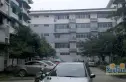 杨柳新屯实景图