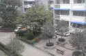 杨柳新屯实景图