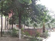 长富新城1室1厅东南