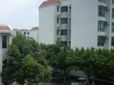 祈福新村A区 4室2厅 南